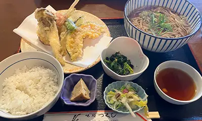 つくし