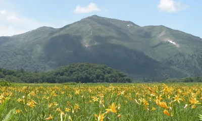 尾瀬ヶ原